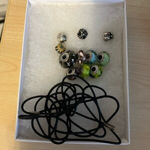 Pandora Charms
